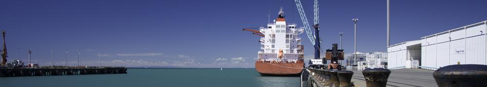 NZ Ship Car & Container Transport