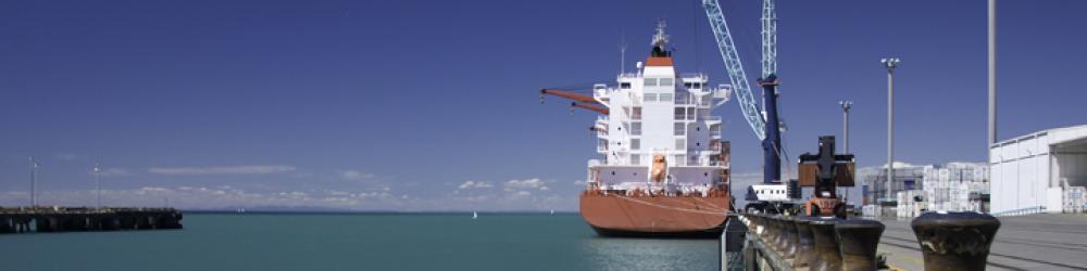 NZ Ship Car & Container Transport